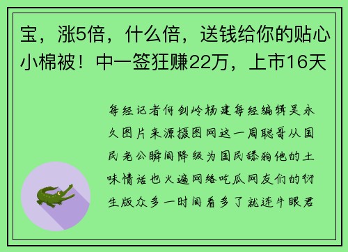 宝，涨5倍，什么倍，送钱给你的贴心小棉被！中一签狂赚22万，上市16天就杀入千亿俱乐部，机构抢疯了？